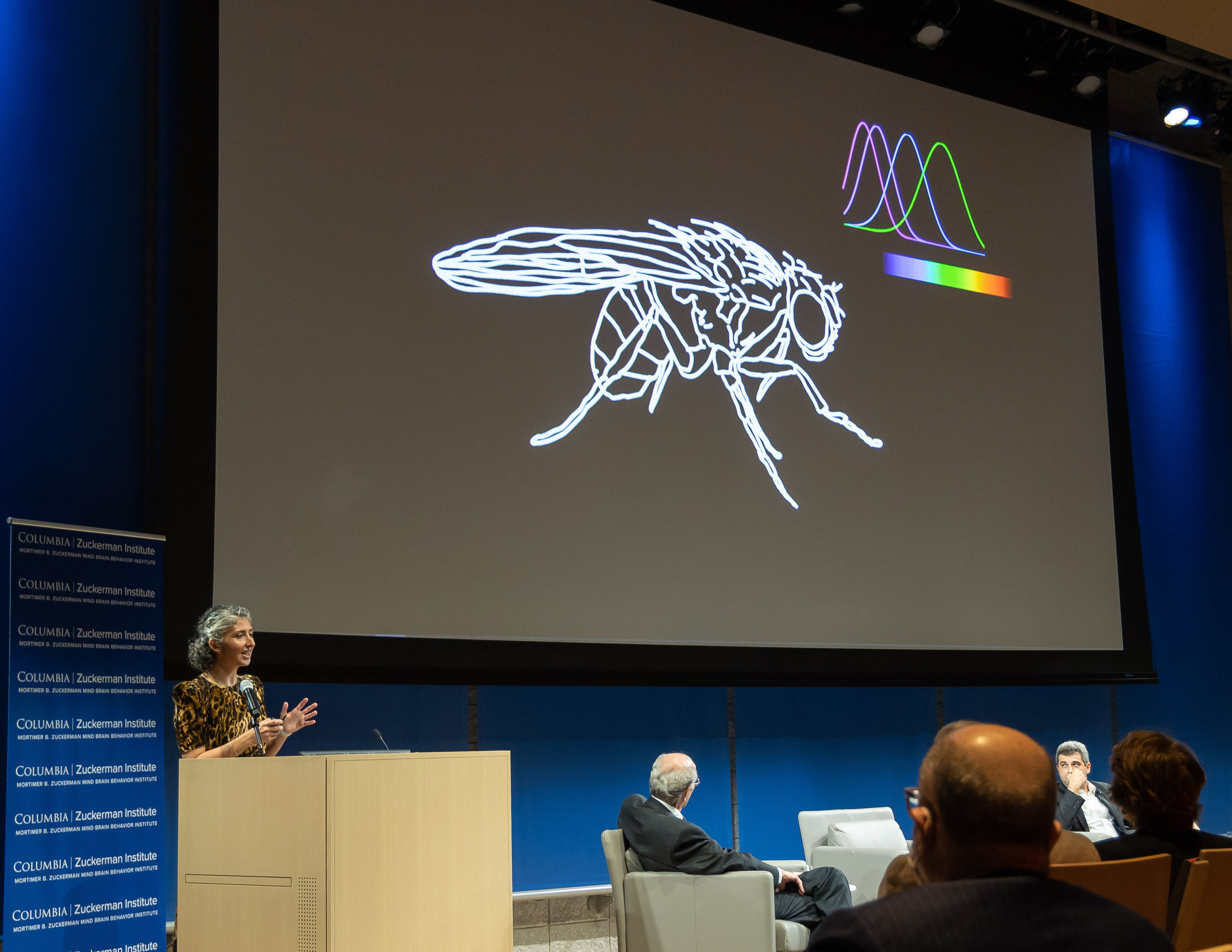 Dr. Rudy Behnia explains how her fruit-fly studies are helping uncover the biology of color vision
