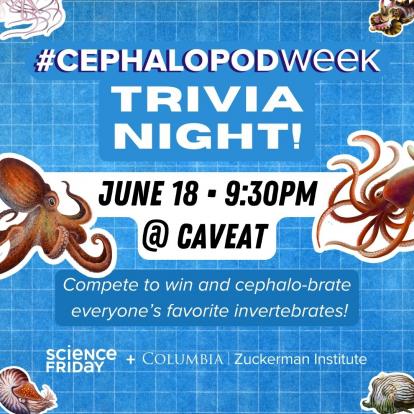 Cephalopod Week Trivia Night
