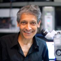 Aniruddha Das, PhD