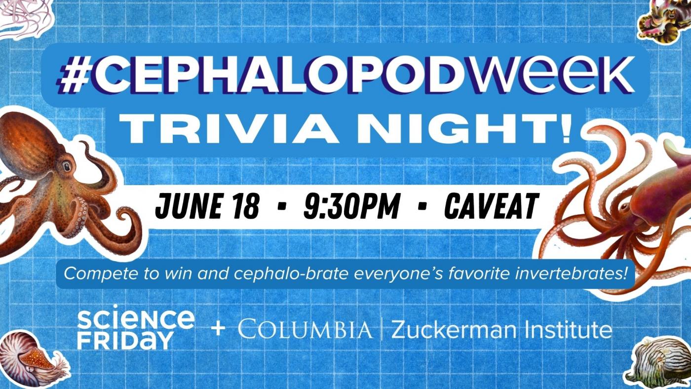 Cephalopod Week 2024 trivia night Cephalopod Week 2024 trivia night